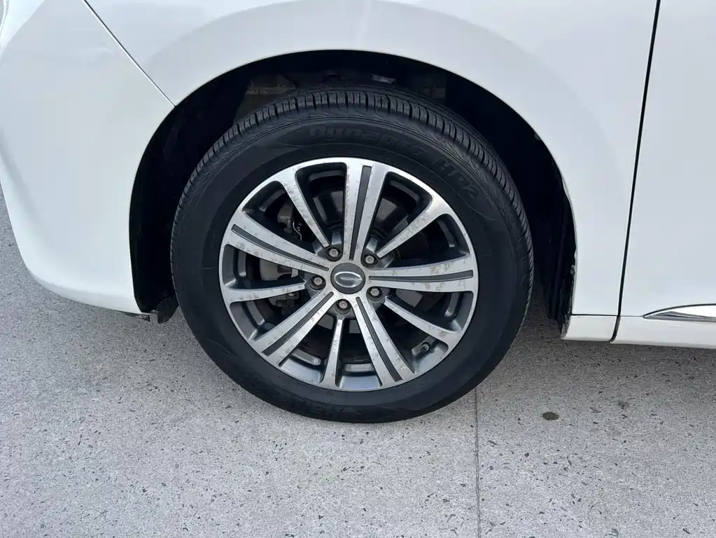 GAC Trumpchi M8 2018 — фото 13