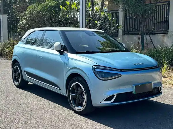 Dongfeng Nano 01 2024