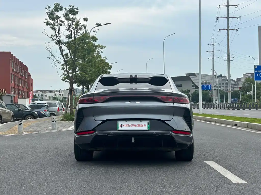 BYD L EV 2024