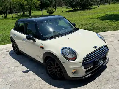 MINI MINI 2015
