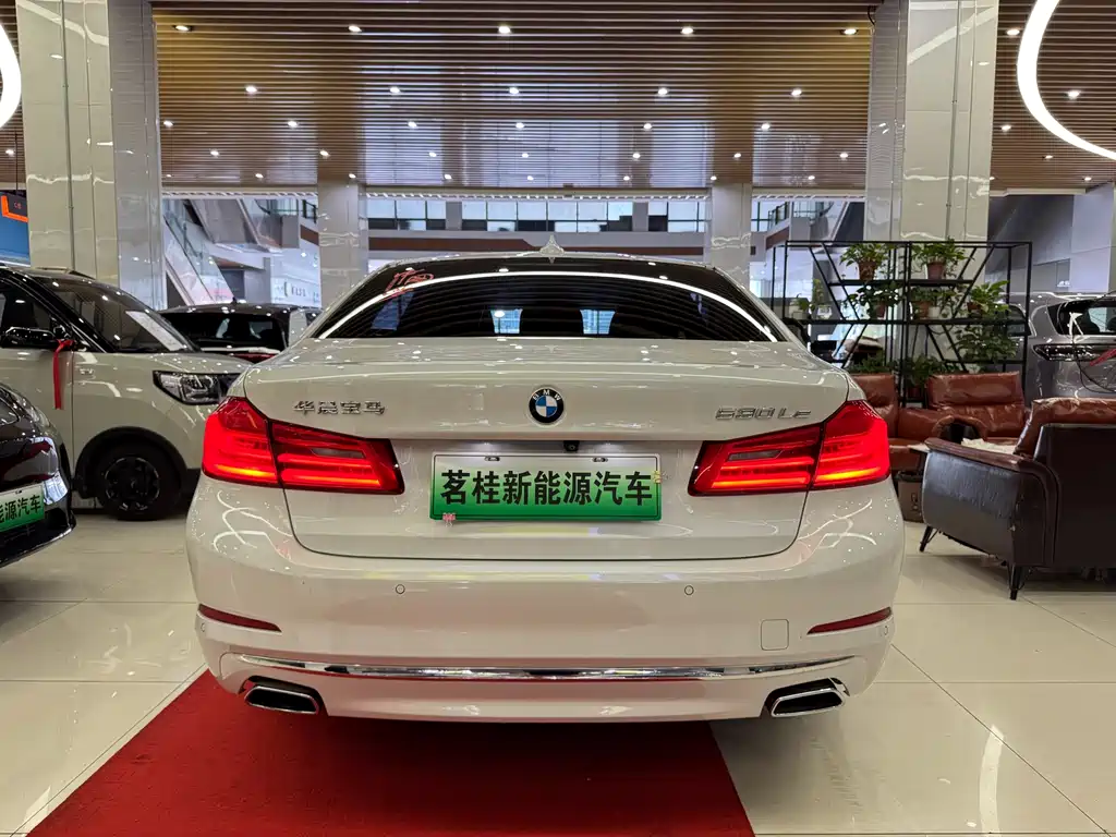 BMW 5 Series New Energy 2020