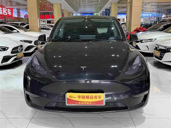 Tesla Model Y 2021
