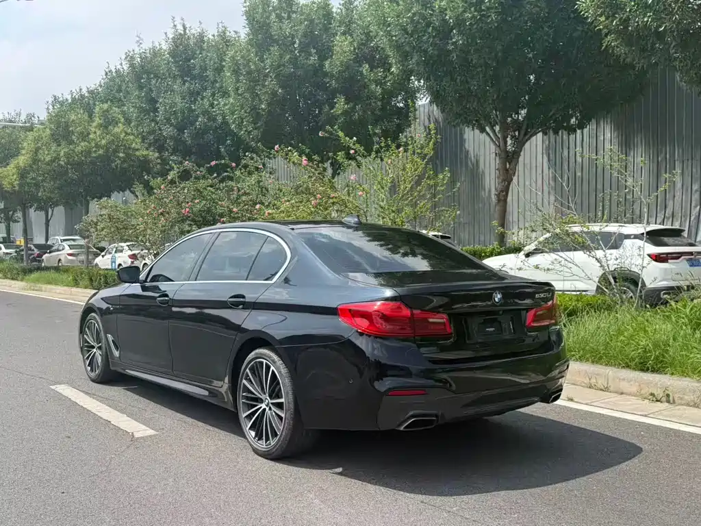 BMW 5 Series 2019