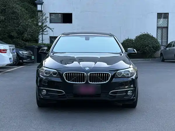 BMW 5 Series 2015