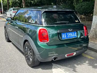 MINI MINI 2015