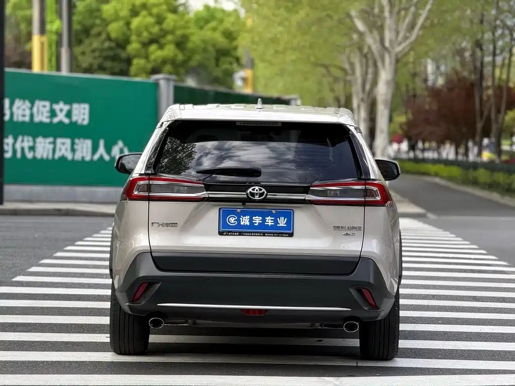 Toyota Wildlander 2020 — фото 15