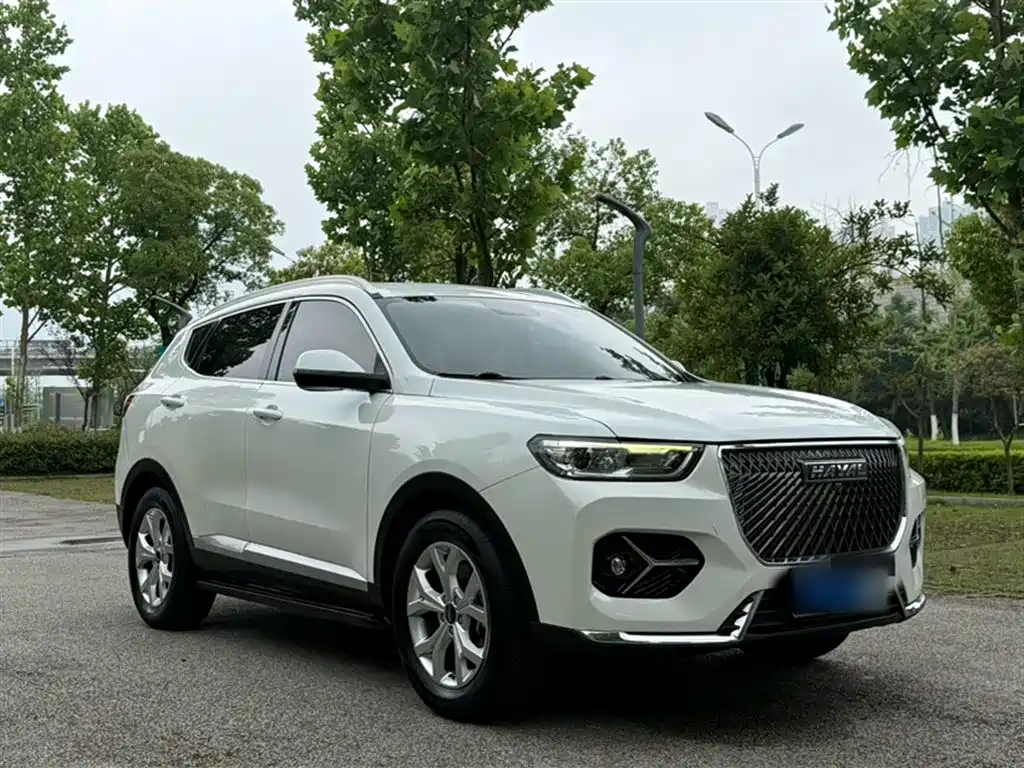 Haval H6 2021 — фото 10