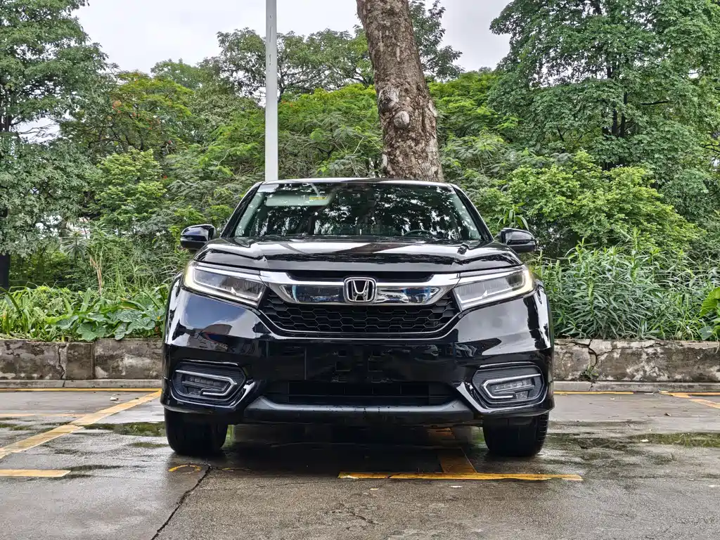 Honda Avancier 2019 — фото 2