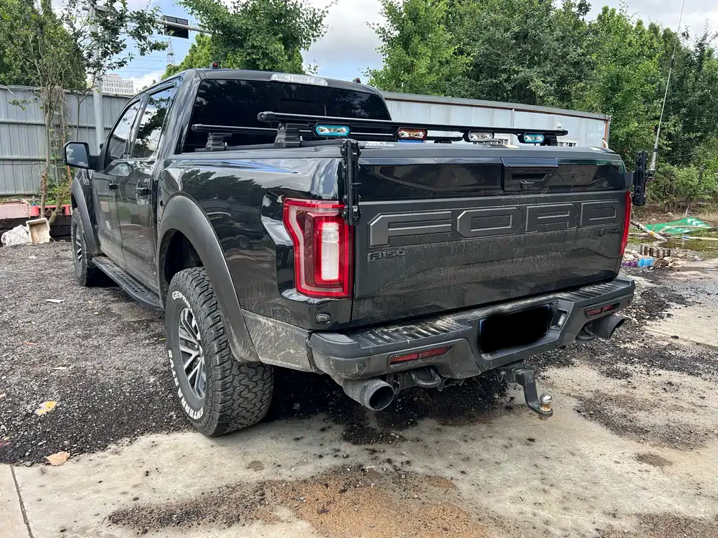 Ford F-150 Raptor 2019 — фото 3