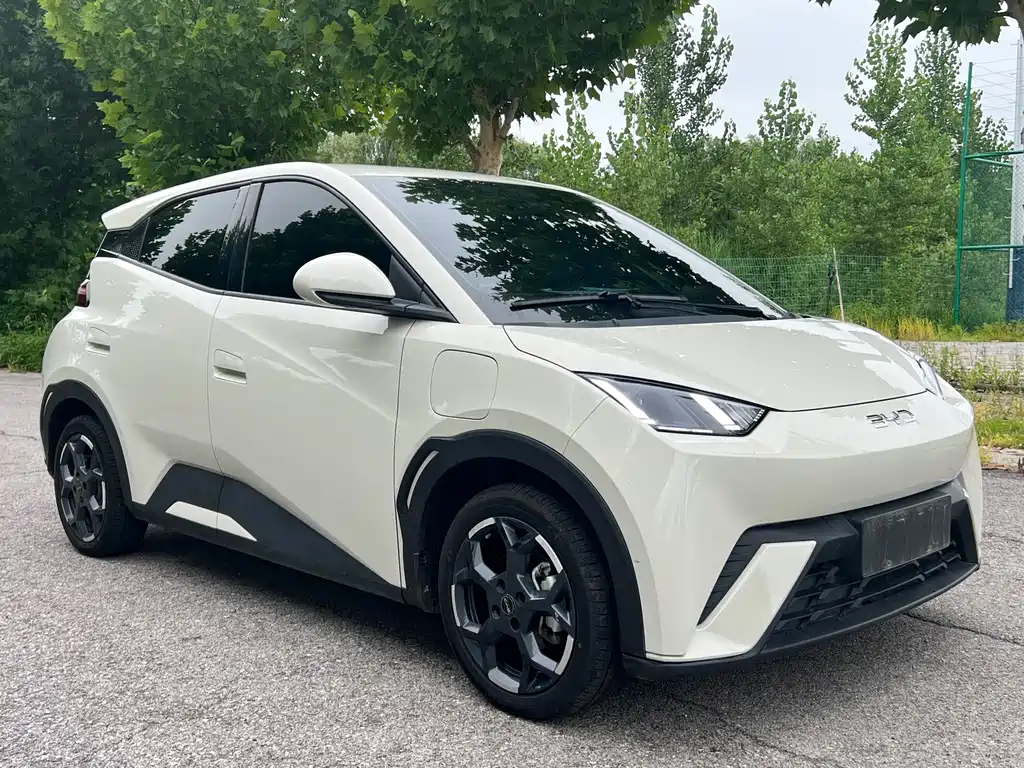 BYD Seagull 2024