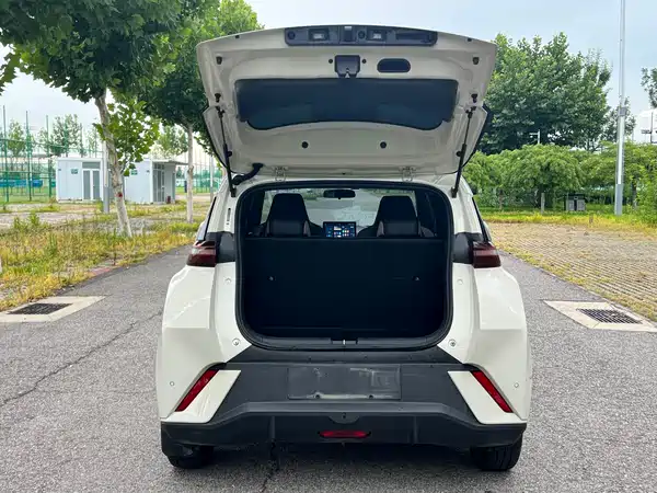 BYD Seagull 2024