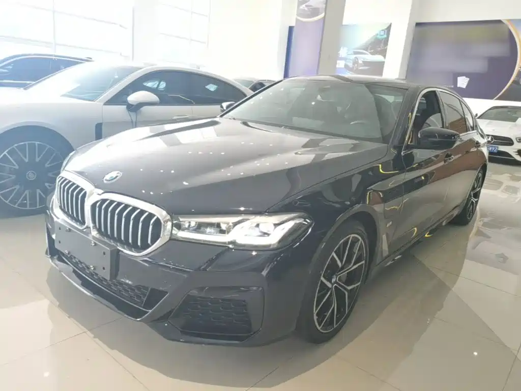 BMW 5 Series New Energy 2021