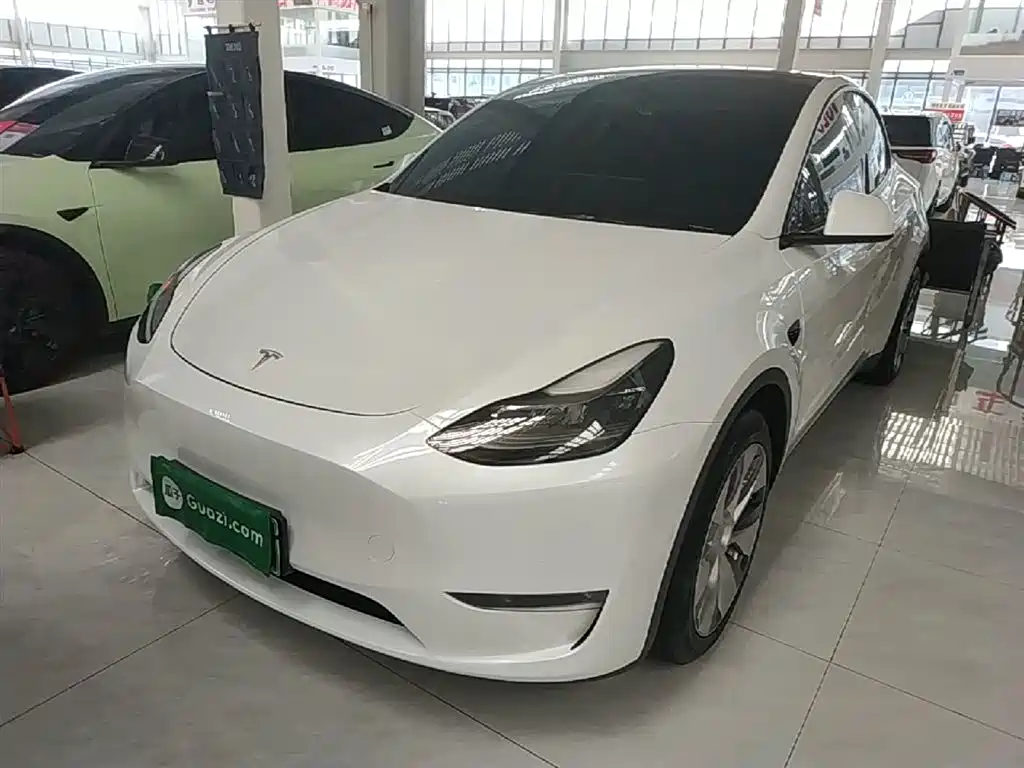 Tesla Model Y 2021 — фото 1