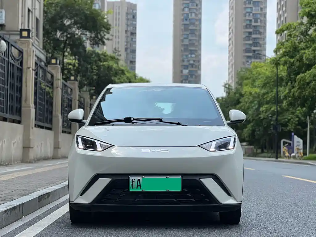 BYD Seagull 2024