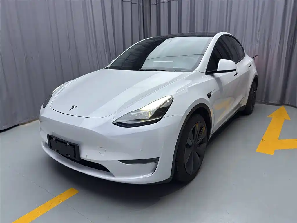 Tesla Model Y 2021 — фото 1