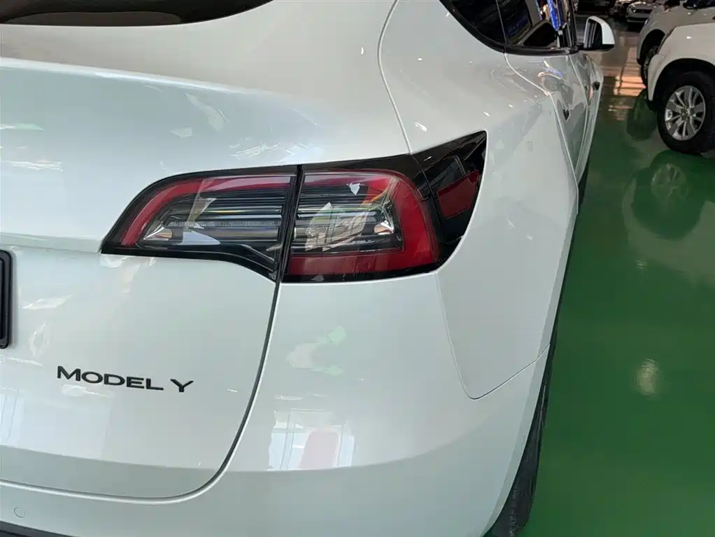 Tesla Model Y 2021 — фото 14