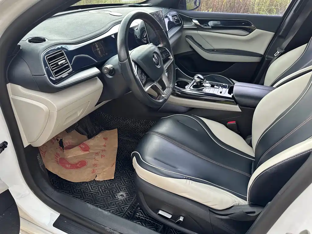 BYD Qin PLUS 2021