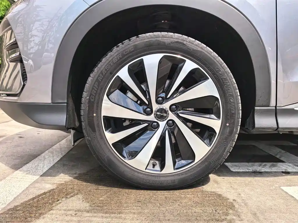 BYD Song PLUS New Energy 2023 — фото 15