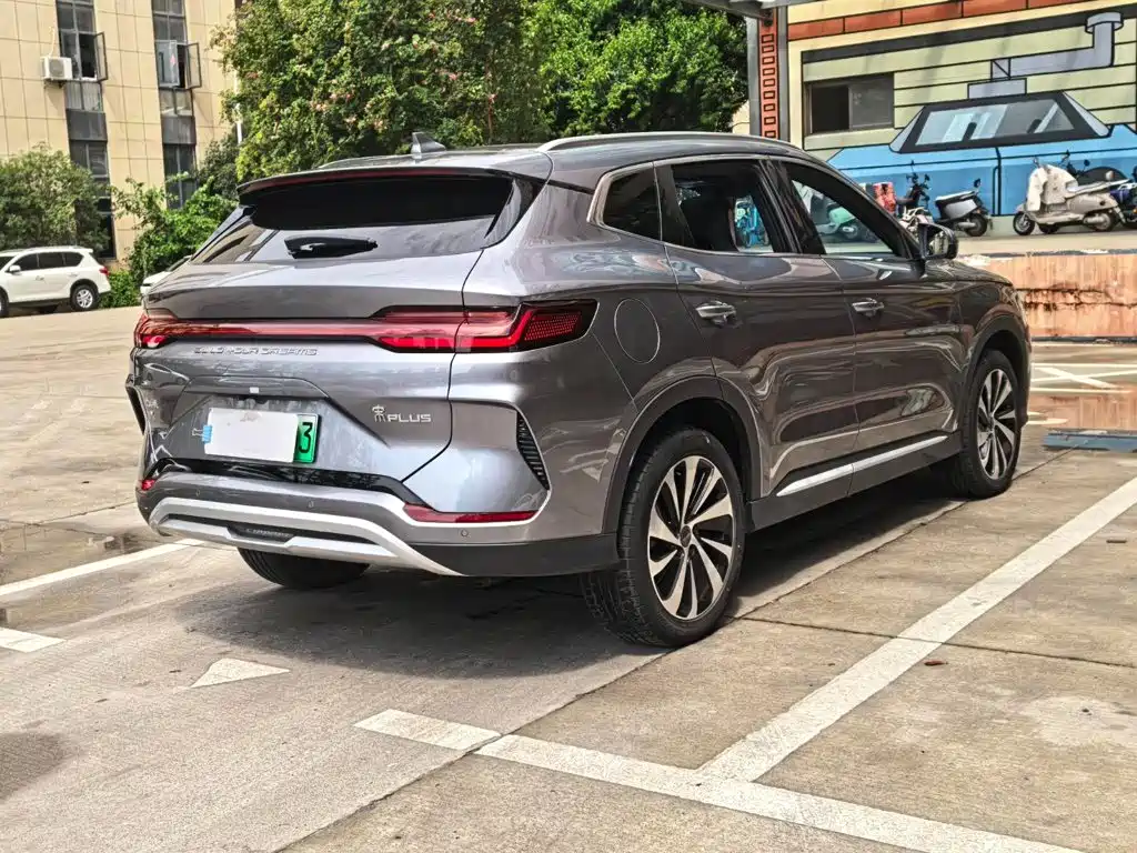 BYD Song PLUS New Energy 2023 — фото 19