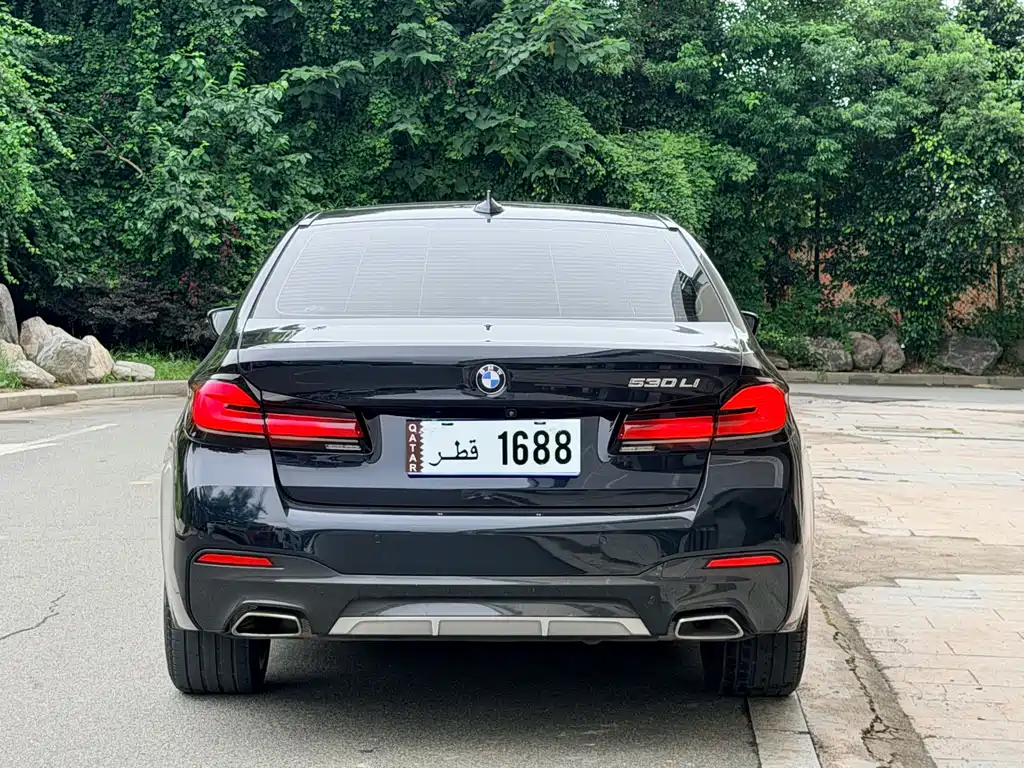 BMW 5 Series 2021