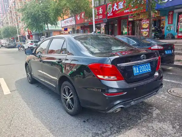 BYD Surui 2019