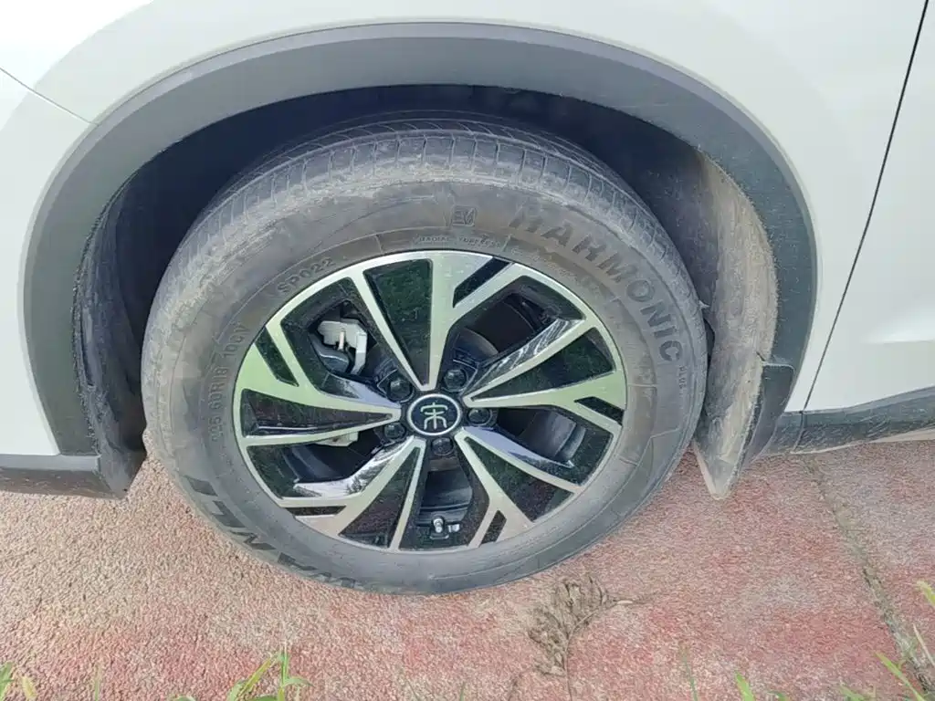 BYD Song Pro New Energy 2025 — фото 23