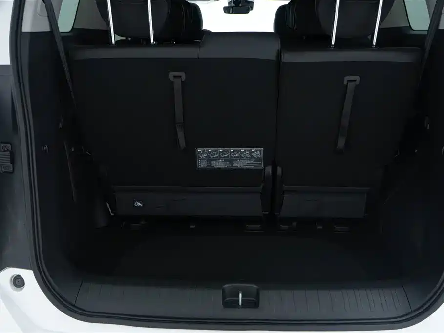 GAC Motor Trumpchi M8 2024 — фото 16