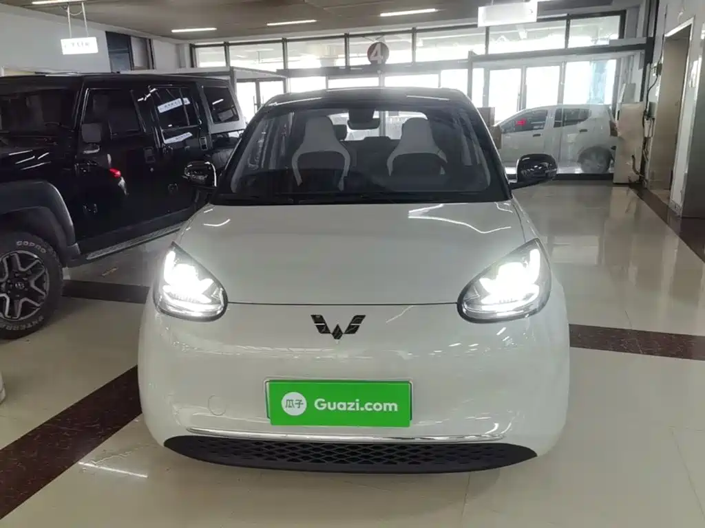 Wuling Bingo 2024