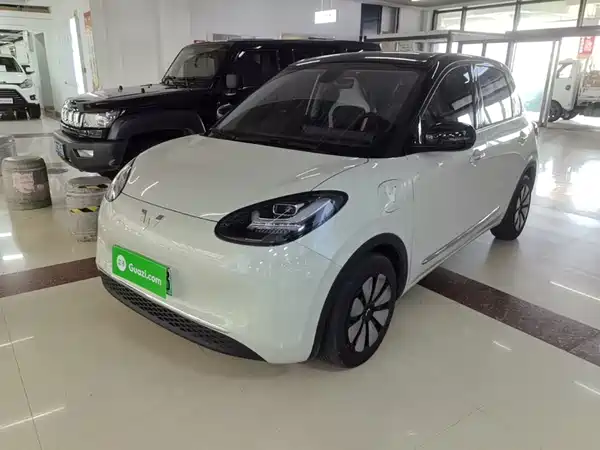 Wuling Bingo 2024