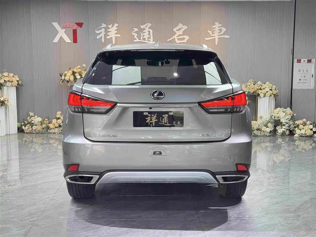 Lexus RX 2022 — фото 24