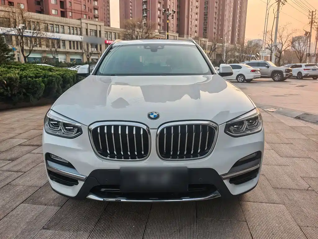 BMW X3 2019 — фото 8