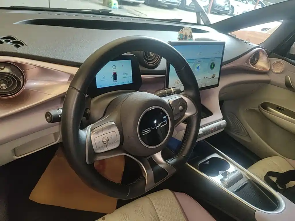 BYD Dolphin 2023 — фото 11