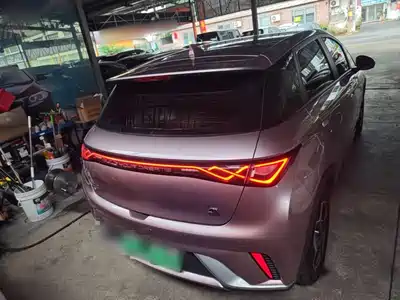 BYD Dolphin 2022