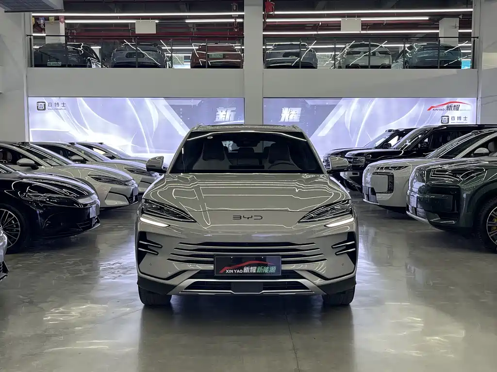 BYD PLUS New Energy 2025 — фото 2