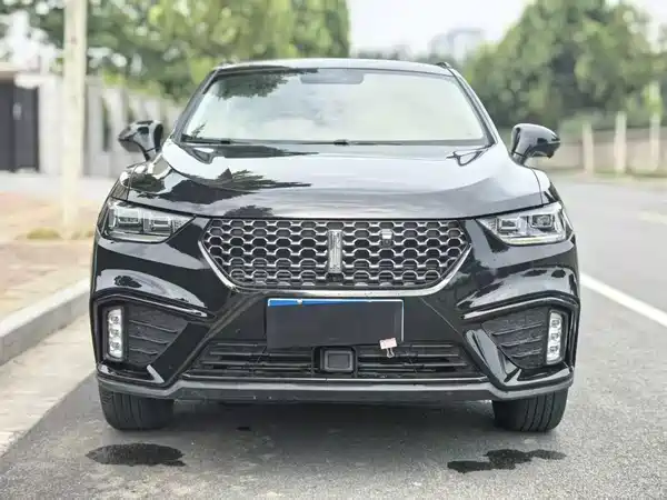 Wey VV5 2020