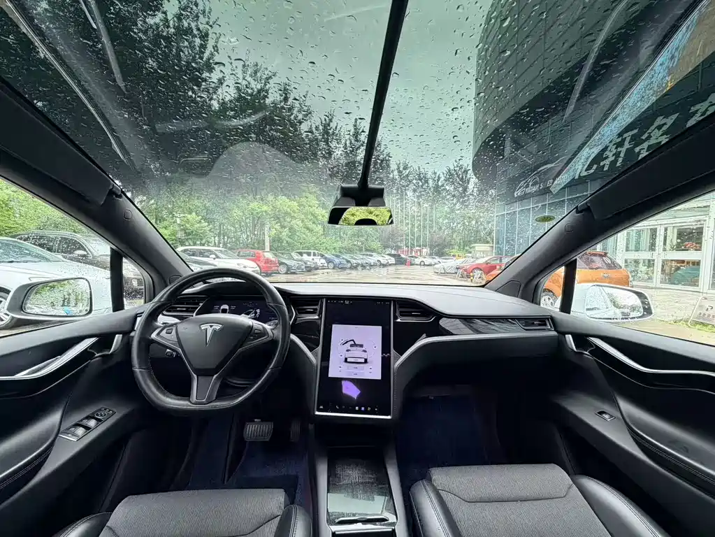 Tesla Model X 2019 — фото 8