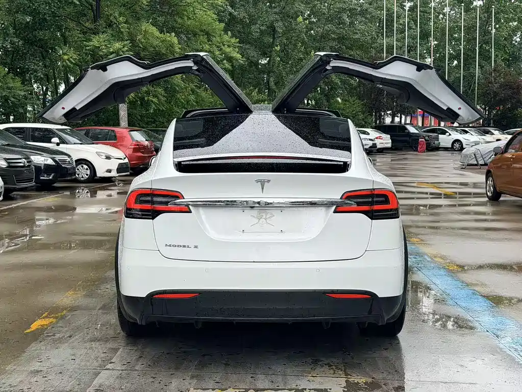 Tesla Model X 2019 — фото 5