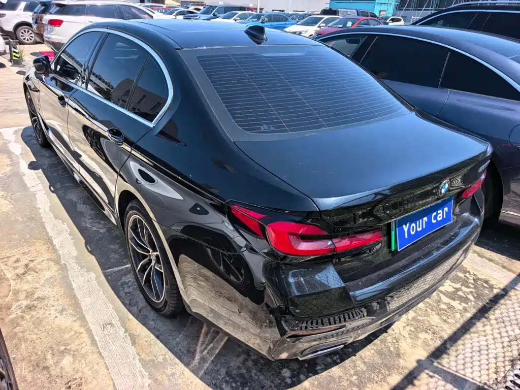 BMW 5 Series New Energy 2021