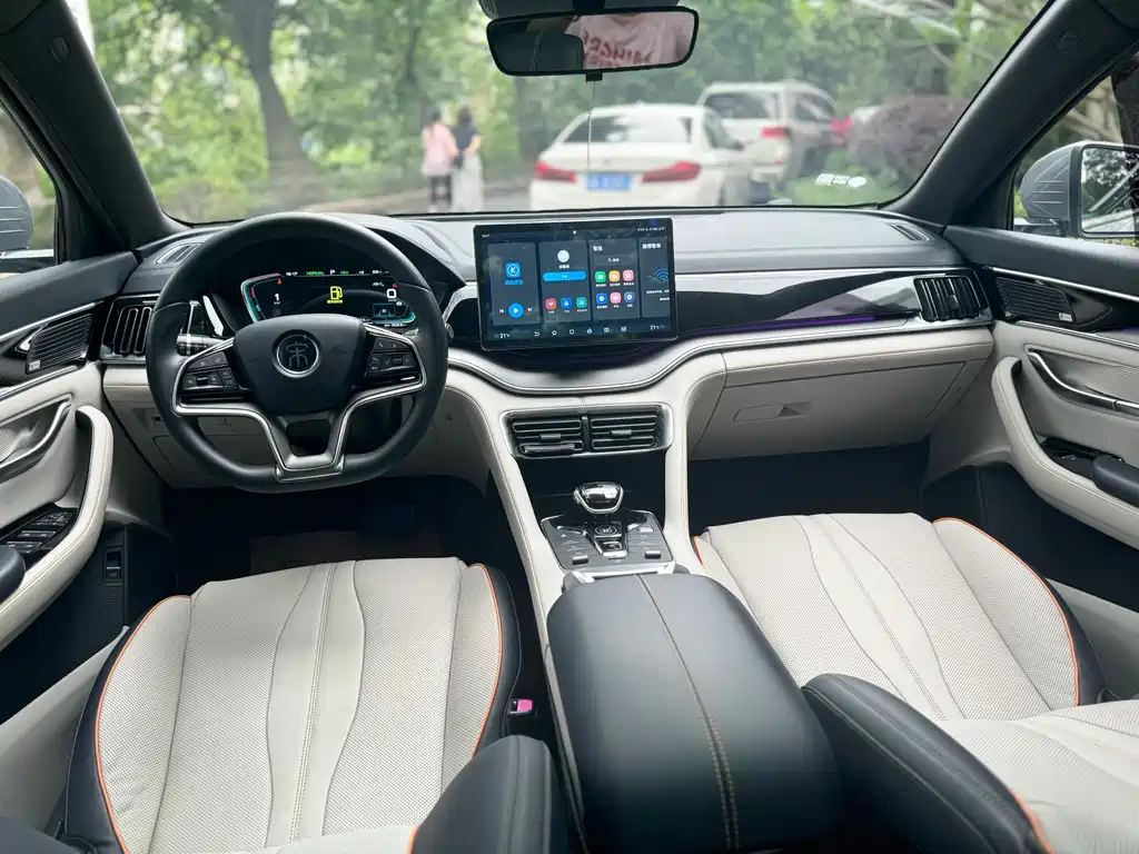 BYD PLUS New Energy 2022 — фото 10