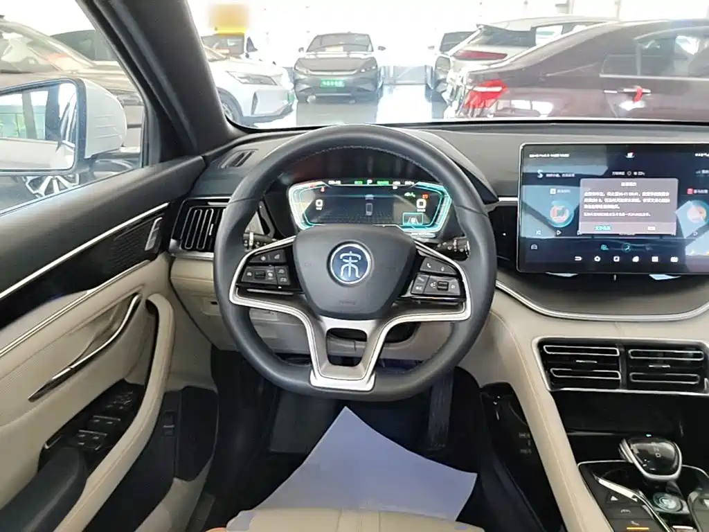 BYD PLUS New Energy 2023 — фото 11