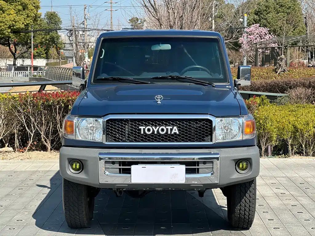 Toyota Land Cruiser 2019 — фото 2