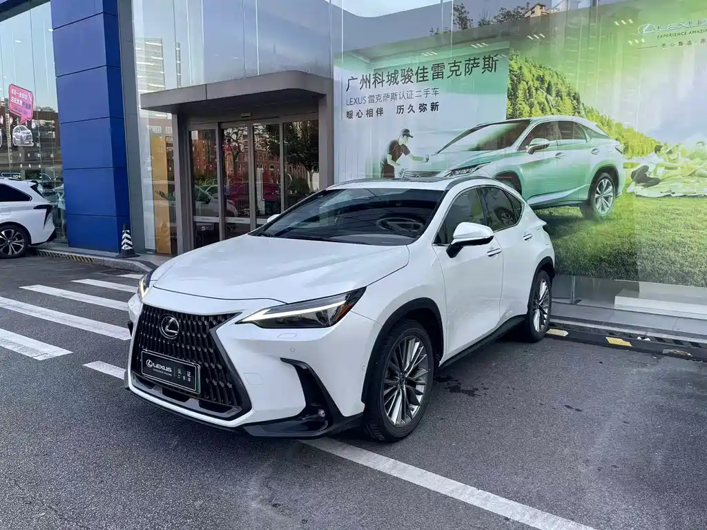 Lexus NX New Energy 2022