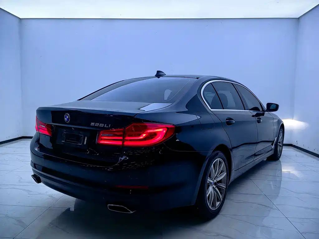 BMW 5 Series 2017 — фото 15