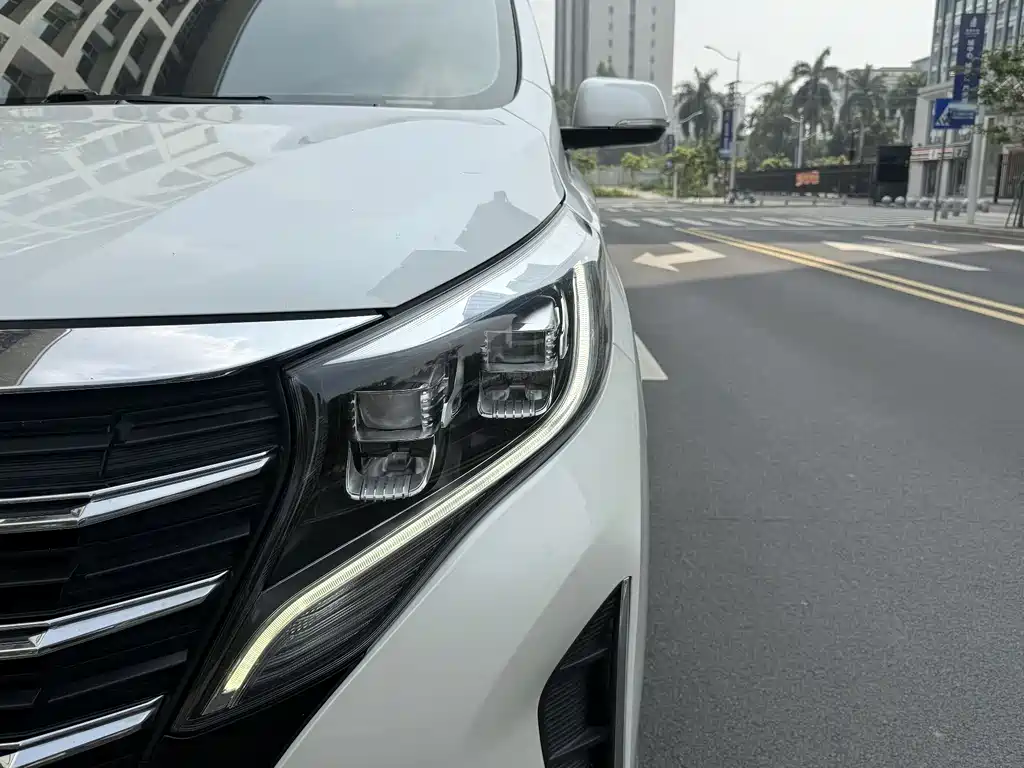 GAC Motor Trumpchi M8 2021 — фото 8