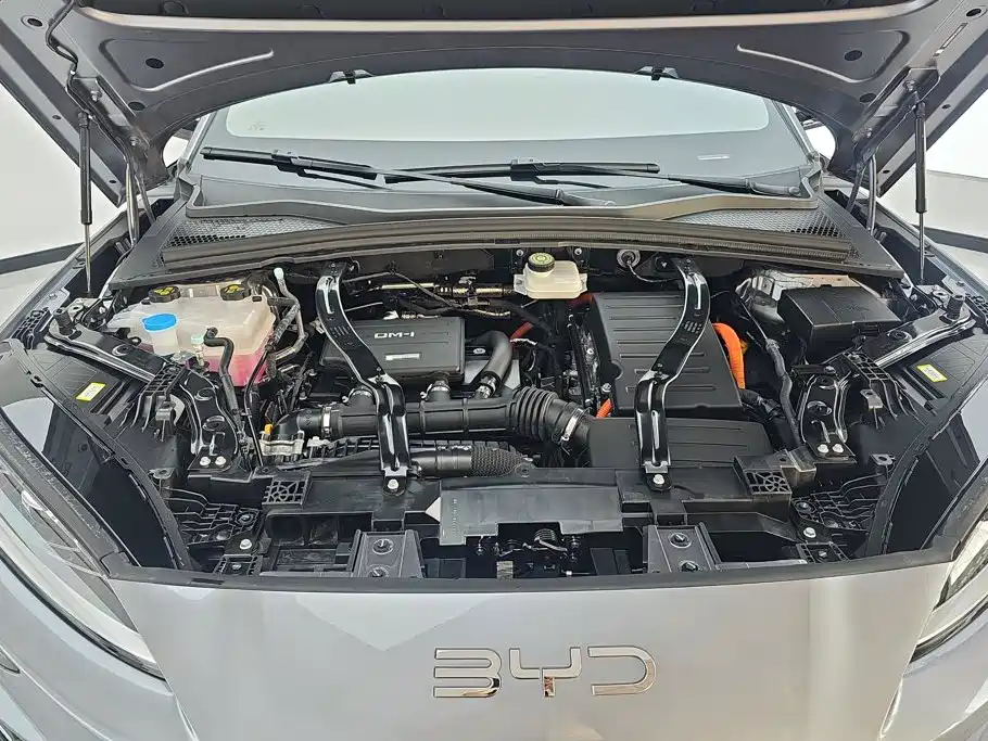 BYD Song PLUS New Energy 2025 — фото 10