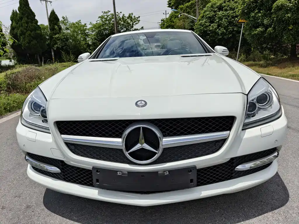 Mercedes-Benz SLK-Class 2011 — фото 1