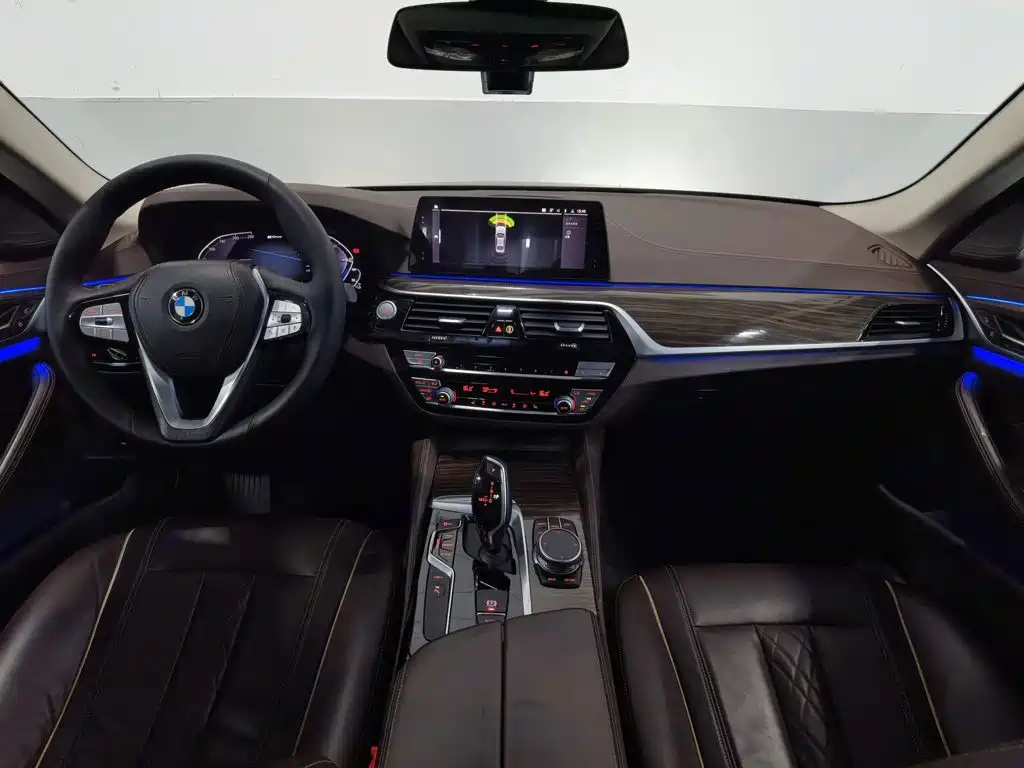 BMW 5 Series New Energy 2019