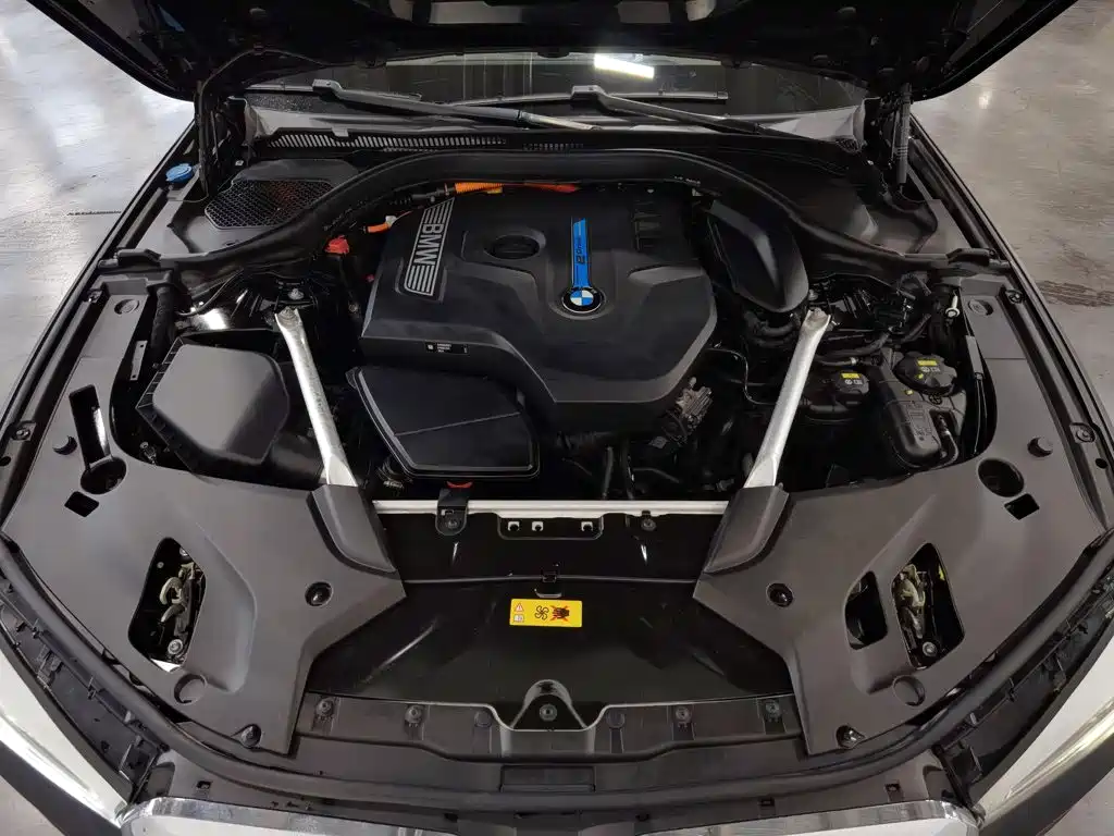 BMW 5 Series New Energy 2019