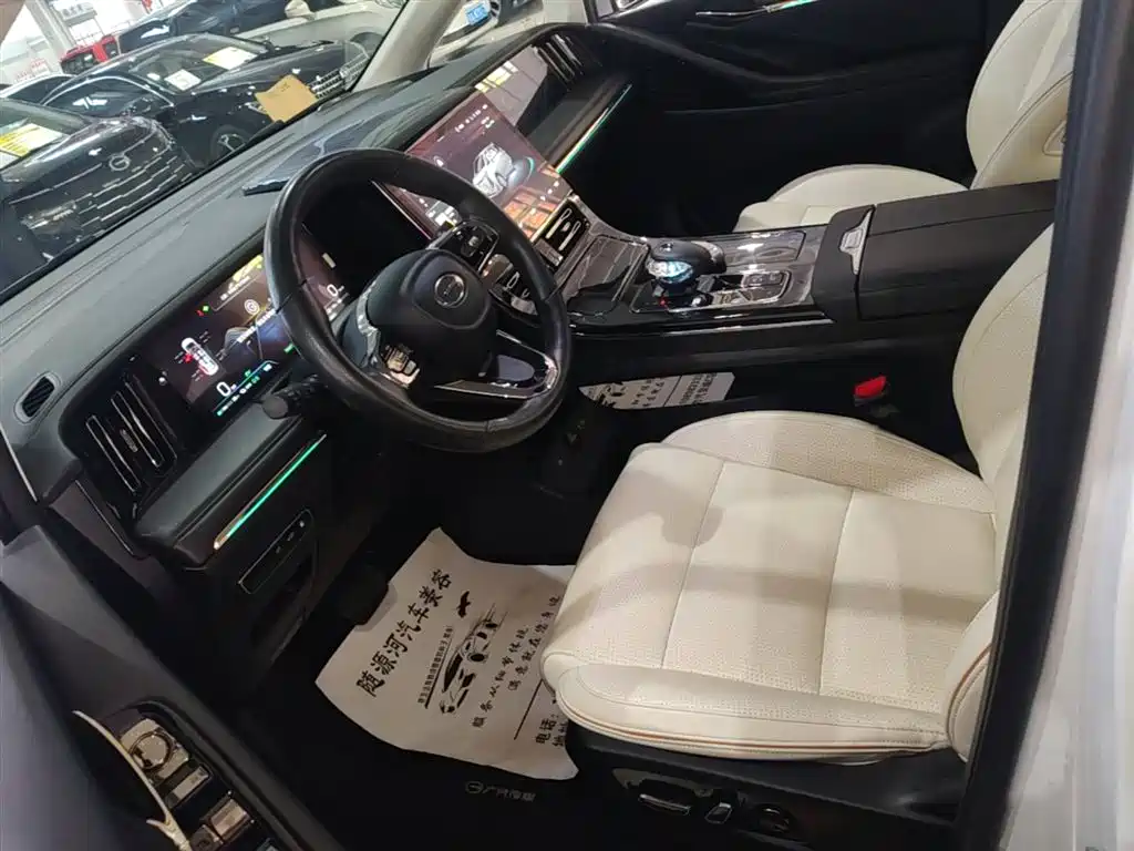 GAC Motor Trumpchi E9 2023 — фото 15