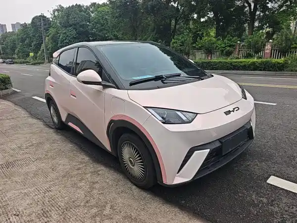 BYD Seagull 2024